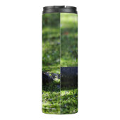 Grüner Frosch schlägt eine Pose auf dem Schlauch Thermosbecher (Rückseite)