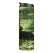 Grüner Frosch schlägt eine Pose auf dem Schlauch Thermosbecher (Nach rechts gedreht)