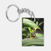 Grüner Frosch Schlüsselanhänger (Vorderseite links)