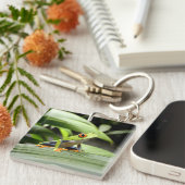 Grüner Frosch Schlüsselanhänger (Vorderseite rechts)