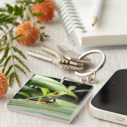 Grüner Frosch Schlüsselanhänger (Vorderseite rechts)