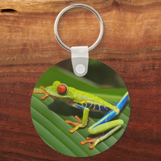 Grüner Frosch Schlüsselanhänger (Vorderseite)