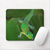 Grüner Gecko in Hawaii Mousepad (Mit Mouse)