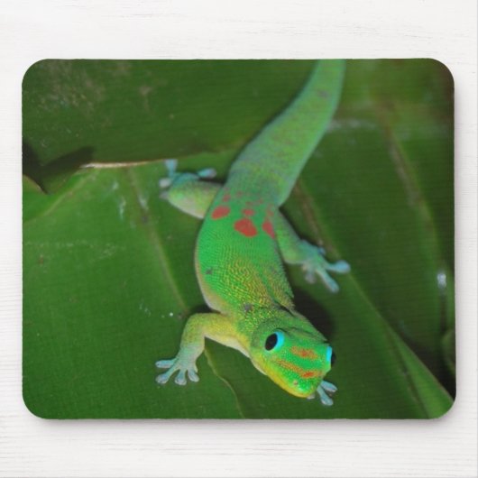 Grüner Gecko in Hawaii Mousepad (Vorne)