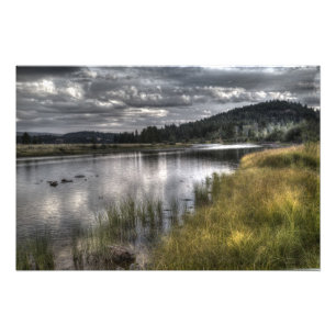 Grüner Geist Fotodruck