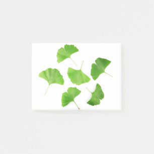 Grüner Ginkgo Biloba Post-it Klebezettel