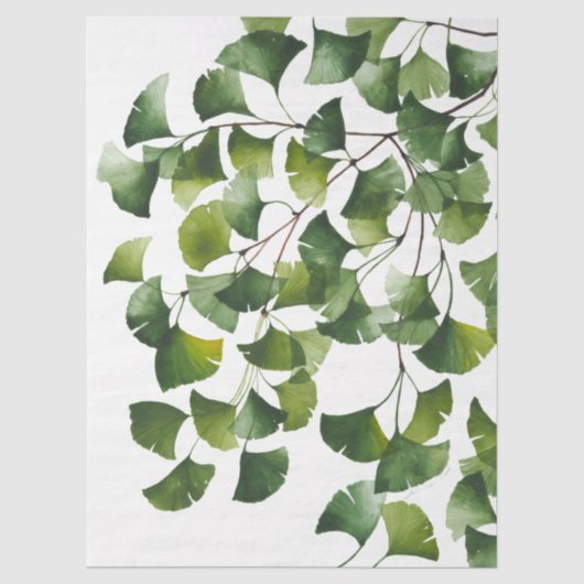 Grüner Ginkgo Biloba - Seidenpapier (Vorderseite)