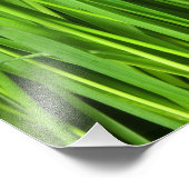 Grüner Gras Hintergrund Fotodruck (Ecke)