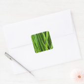 Grüner Gras Hintergrund Quadratischer Aufkleber (Umschlag)