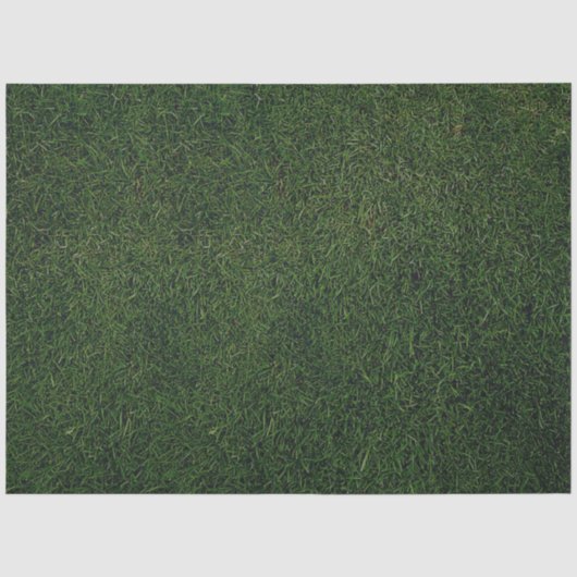 Grüner Gras Hintergrund Seidenpapier (Vorderseite)