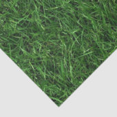 Grüner Gras Hintergrund Seidenpapier (Ausschnitt)