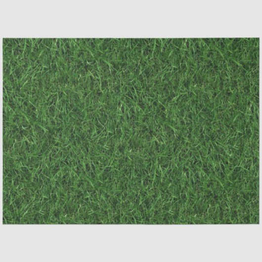 Grüner Gras Hintergrund Seidenpapier (Vorderseite)