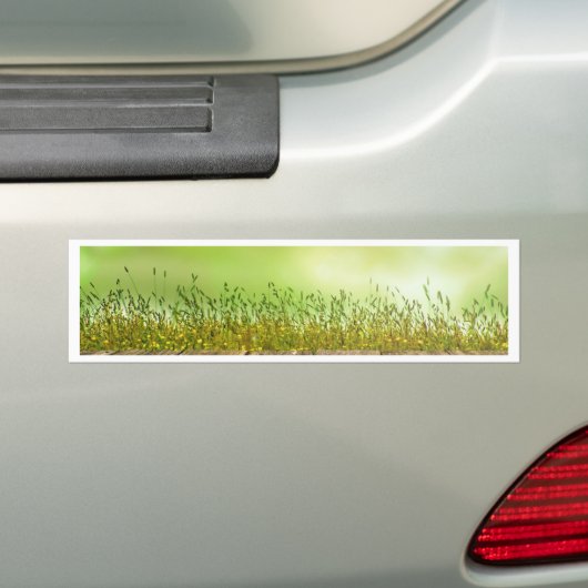 Grüner Grasgarten Autoaufkleber (Auf Auto)
