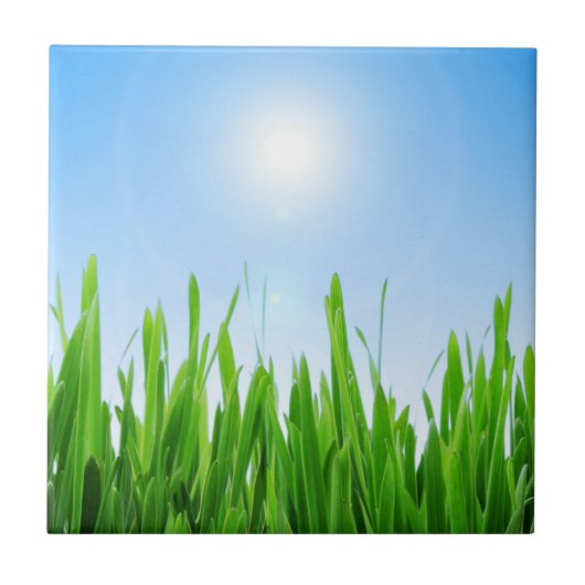 Grüner Grasgarten mit Blau Himmel Design Fliese (Vorderseite)