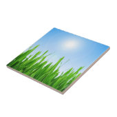 Grüner Grasgarten mit Blau Himmel Design Fliese (Seite)