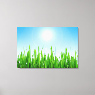 Grüner Grasgarten mit Blau Himmel Design Leinwanddruck