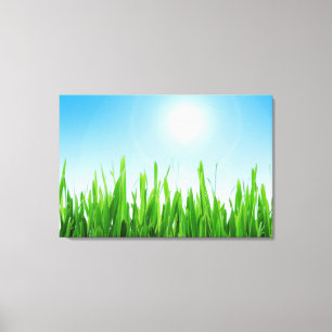 Grüner Grasgarten mit Blau Himmel Design Leinwanddruck