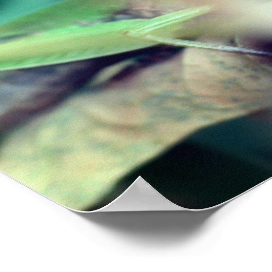Grüner Grasshopper auf Leaf-Insekt Poster (Ecke)