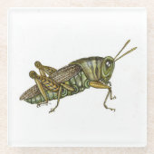 Grüner Grasshopper-Untersetzer Glasuntersetzer (Vorderseite)