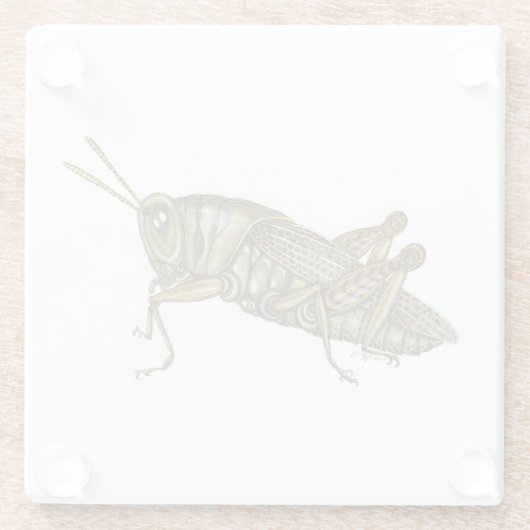 Grüner Grasshopper-Untersetzer Glasuntersetzer (Rückseite)