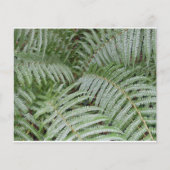 Grüner Grüner Grüner Flyer (Vorne)