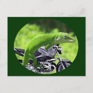 Grüner hawaiianischer Gecko-Reiter Postkarte