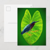 Grüner Held Feiertagspostkarte (Vorne/Hinten)