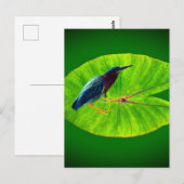 Grüner Held Postkarte (Vorne/Hinten)