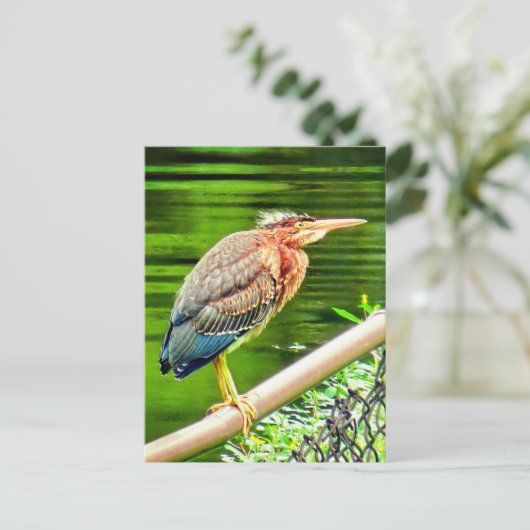 Grüner Held Postkarte (Stehend Vorderseite)