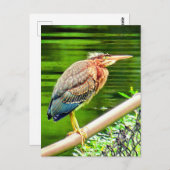 Grüner Held Postkarte (Vorne/Hinten)