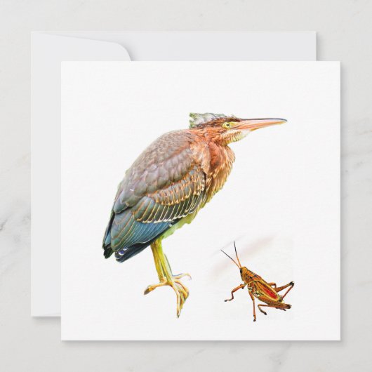Grüner Held und Grasshopper (Vorderseite)