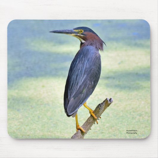 Grüner Herzog Mousepad (Vorne)