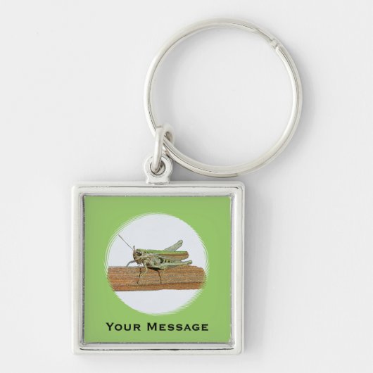 Grüner Heuschrecken-Cartoon-Gepäck-u. Laptop-Umbau Schlüsselanhänger (Vorne)