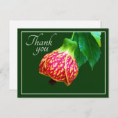 Grüner Hintergrund der Blume von Ahorn Vielen Dank Postkarte (Vorne/Hinten)