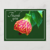 Grüner Hintergrund der Blume von Ahorn Vielen Dank Postkarte (Vorderseite)