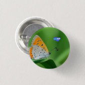 Grüner Hintergrund & gelber,weißer Schmetterling & Button (Vorne & Hinten)