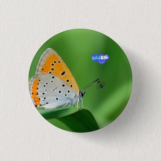 Grüner Hintergrund & gelber,weißer Schmetterling & Button (Vorderseite)