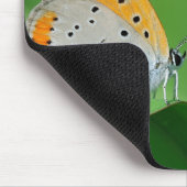 Grüner Hintergrund & gelber, weißer Schmetterling Mousepad (Ecke)