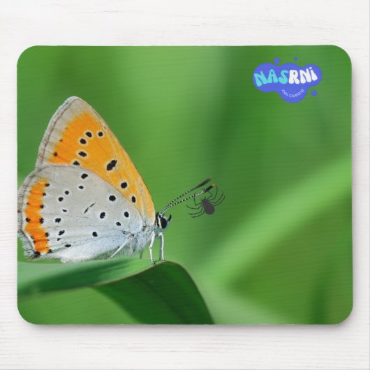 Grüner Hintergrund & gelber, weißer Schmetterling Mousepad (Vorne)