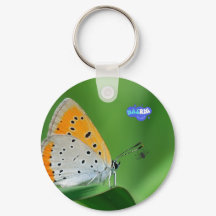 Grüner Hintergrund & gelber, weißer Schmetterling 