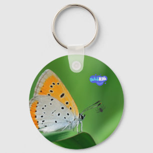 Grüner Hintergrund & gelber, weißer Schmetterling  Schlüsselanhänger