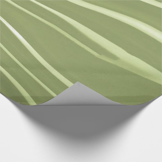 Grüner Hintergrund und Streifen Geschenkpapier (Ecke)