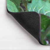 Grüner Hornwurm auf einer Tomatennische-Pflanze Mousepad (Ecke)