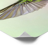 Grüner Hummingvogel fliegt gut Poster (Ecke)