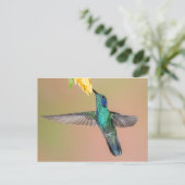 Grüner Hummingvogel fliegt zu einer gelben Blume Postkarte (Stehend Vorderseite)
