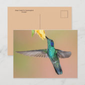 Grüner Hummingvogel fliegt zu einer gelben Blume Postkarte (Vorne/Hinten)