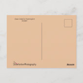 Grüner Hummingvogel fliegt zu einer gelben Blume Postkarte (Rückseite)