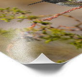 Grüner Hummingvogel Fotodruck (Ecke)