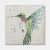 Grüner Hummingvogel Magnet (Vorne)