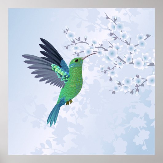 Grüner Hummingvogel mit Blauer Kirschblüte Poster (Vorne)
